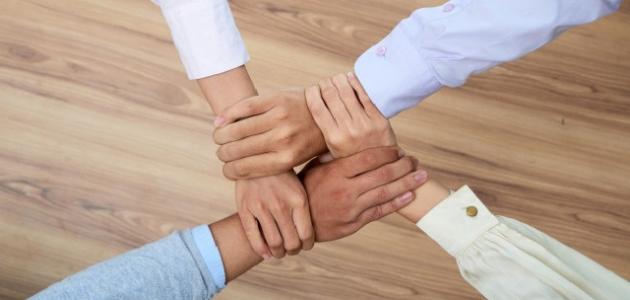 ما هي أهمية الوحدة الوطنية .. ثمار تحقيق الوحدة الوطنية