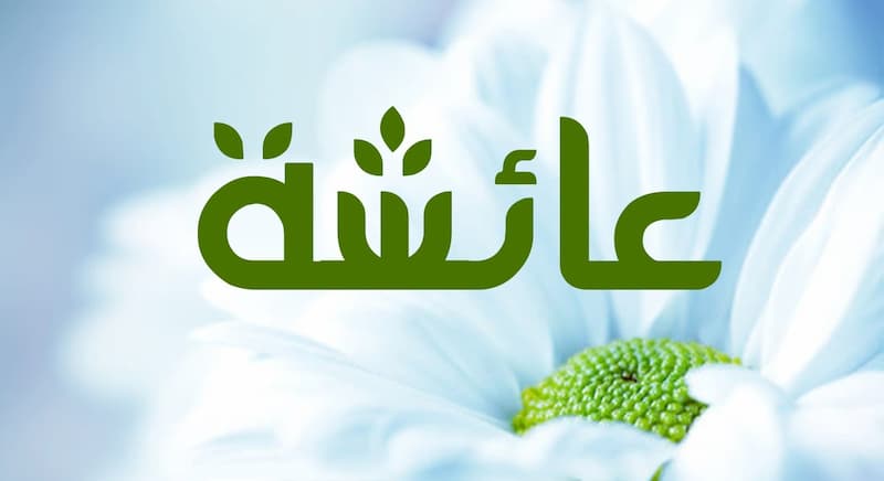 مواقف من حب الرسول لعائشة.. كيف كانت عائشة تعامل الرسول
