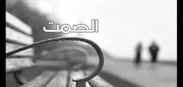 عبارات عن الصمت وأجمل ما قيل في الصمت : أكثر اللحظات هيبة هي التي يتملكك فيها الغضب والانفعال، ولكن تفضل فيها الثبات والصمت