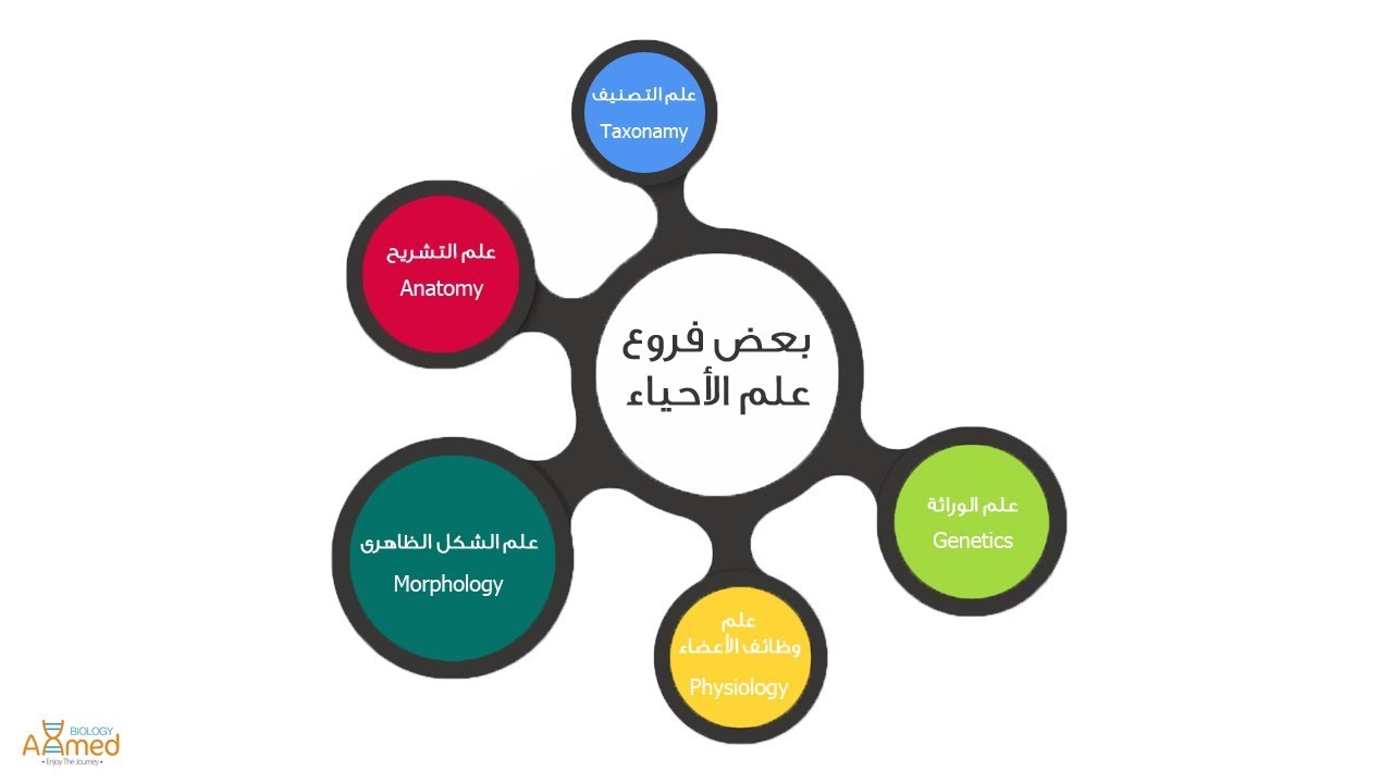 ما هي فروع علم الوراثة .. علم الوراثة الجزيئية