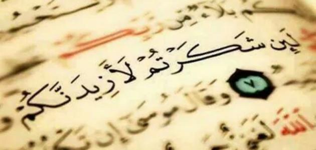كلمات شكر لله وأجمل العبارات التي قيلت في الثناء على الله : الحمد لله والشكر لله على نعمة الرزق والصحة والزوجة والأبناء، الحمد لله يا رب العالمين لأنك أنيرت عقلي ليفهم حكمتك الواسعة في أمور حياتي
