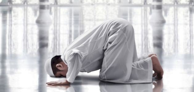كم عدد الركعات الفرض والسنة .. شروط الصلاة