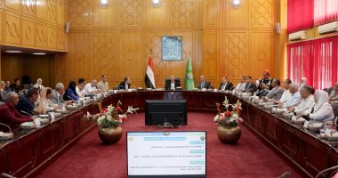 محافظ الإسماعيلية يسعى لوضع إطار قانوني لتنظيم “التوك توك”