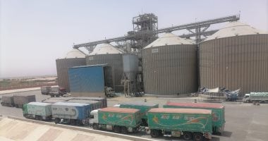 محافظ بنى سويف: انتهاء موسم توريد القمح بعد تخطى المُستهدف بنسبة 144%