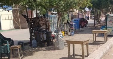 مدينة الأقصر تبدأ حملة لإزالة التشوهات ورفع الإشغالات بمنشأة العمارى